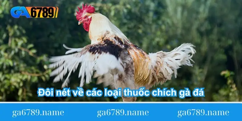 Đôi nét về các loại thuốc chích gà đá