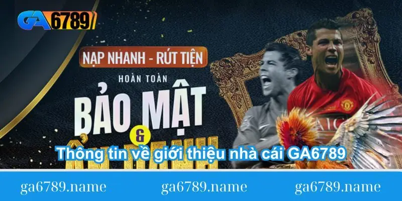 gioi-thieu-doi-net-ve-nha-cai-ga6789