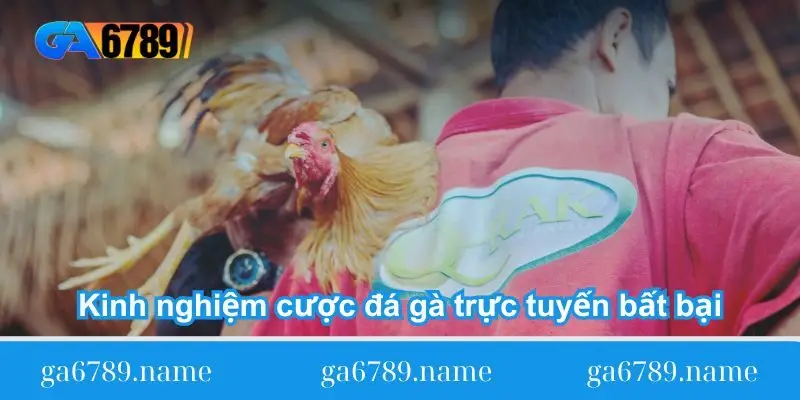kinh nghiem cuoc da ga truc tuyen bat bai