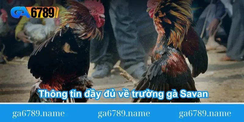 thong tin day du ve truong ga savan