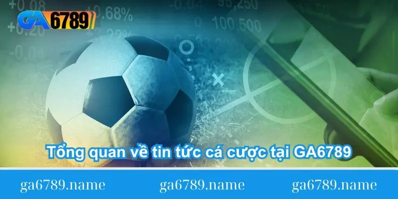 tong-quan-ve-tin-tuc-ca-cuoc-tai-ga6789